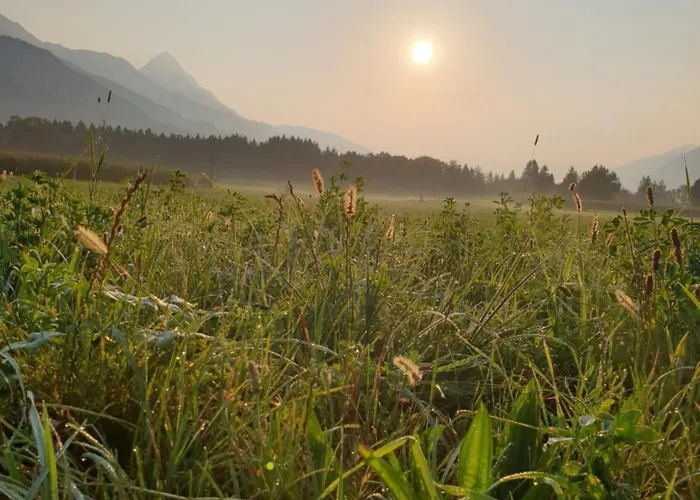 Cafe Zentral, Mit Fruehstueck 3*